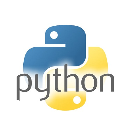 Python icon