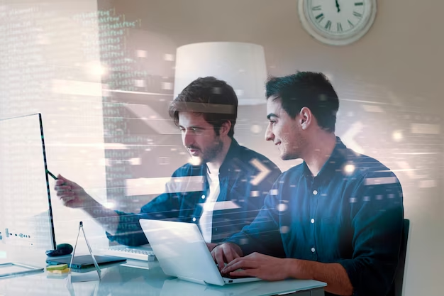 Two men are engaged in programming